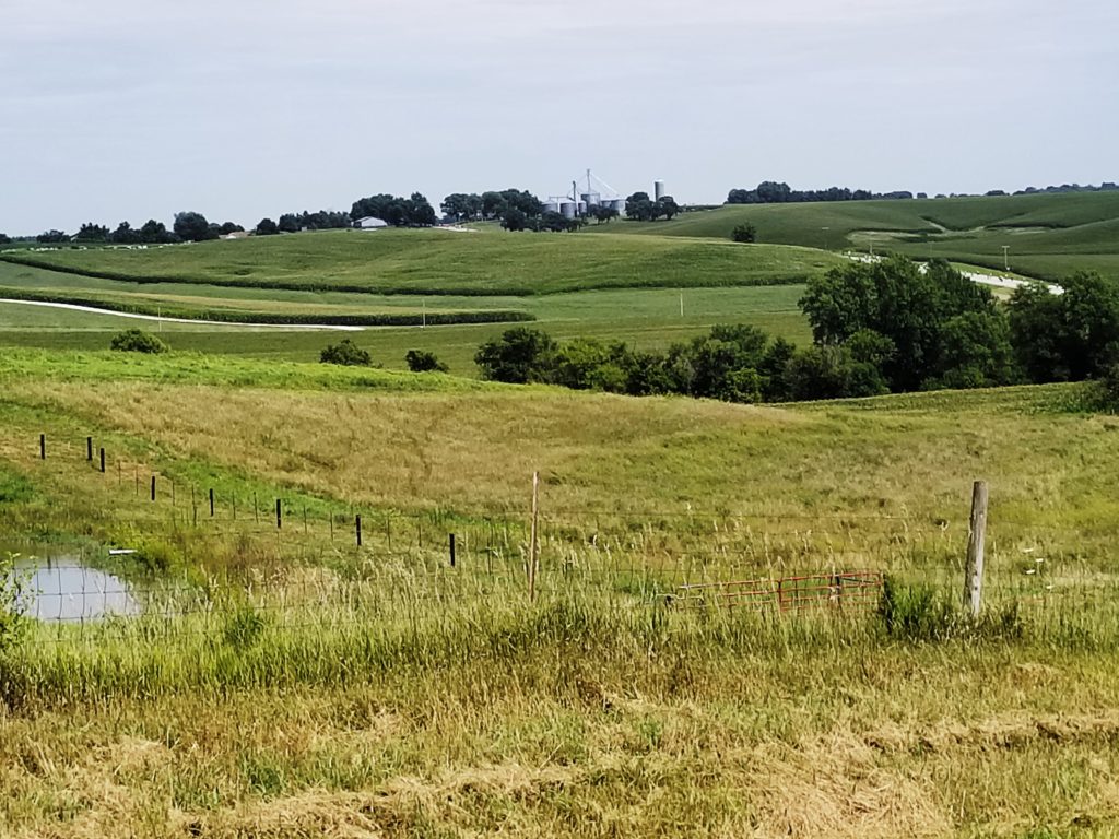 RAGBRAI riders in the distance.